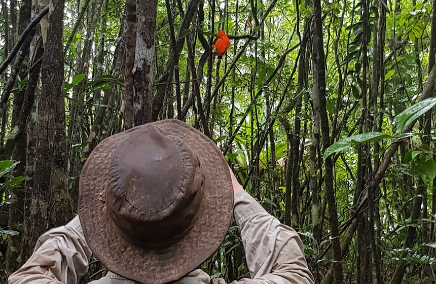 Guyana_NaturabenteurtGuyana_verschiedeneTerminen