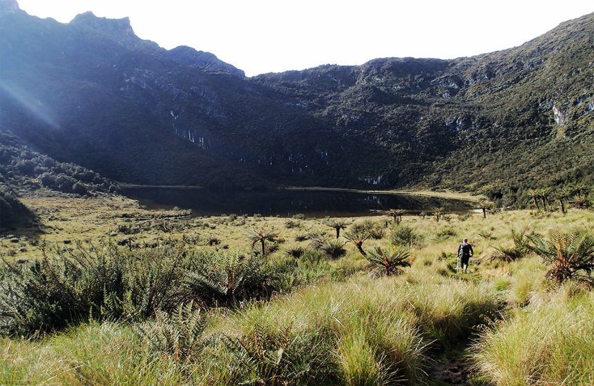 Papua_2020_10_CarstenszPyramide